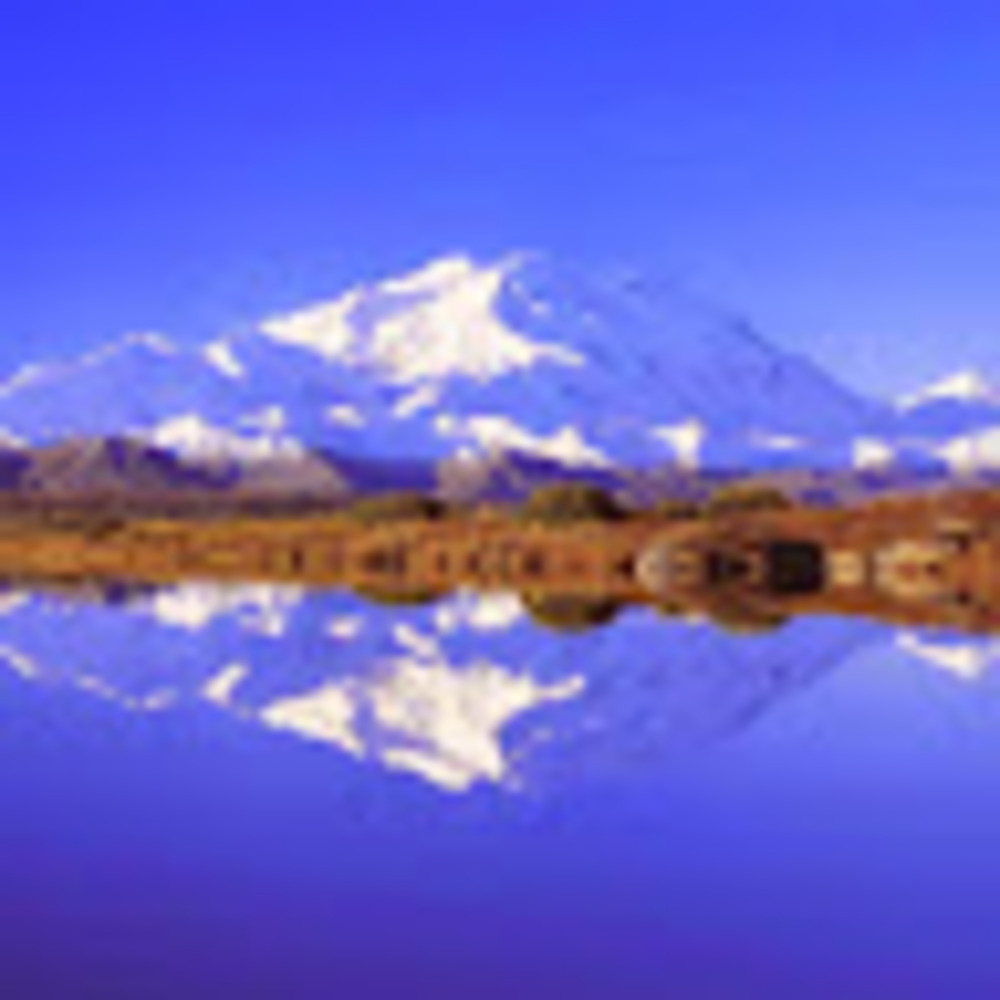 Meet your Posher, William